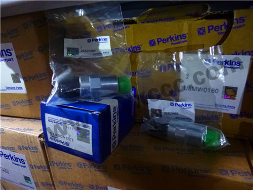 1206E柴油機T410145柴油燃油泵、溫度感應傳感器、燃料過濾器(1206E)